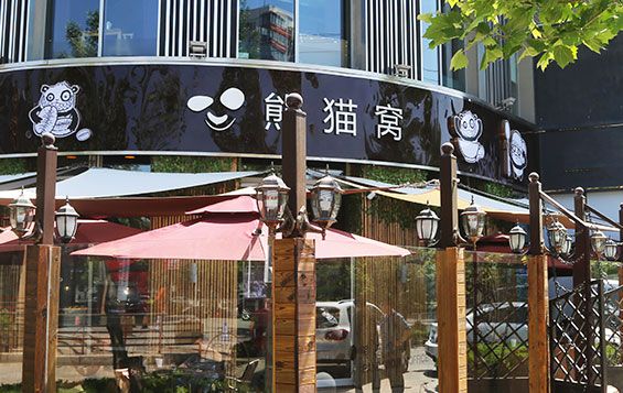 熊猫传媒熊猫窝咖啡司北京公司